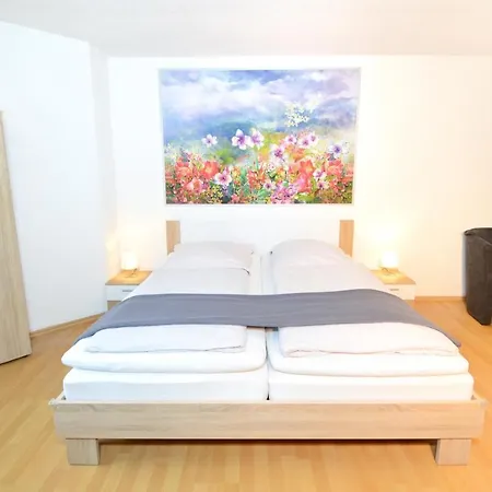 W-apartments - Spacious Parking, Ev-station, Washer & Private Garden * Offenburg