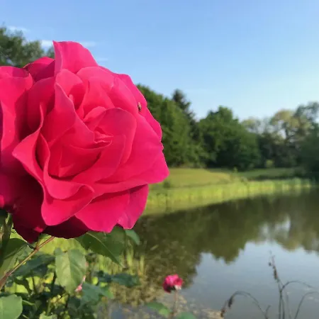 Strasbourg - Europapark / Wallaston Offenburg